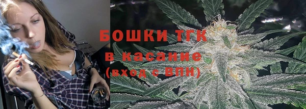бошки Аркадак