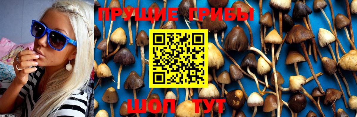 Галлюциногенные грибы мухоморы Сургут